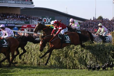 aintree grand national race card|Grand National Runners and Riders, covering all the horses, .